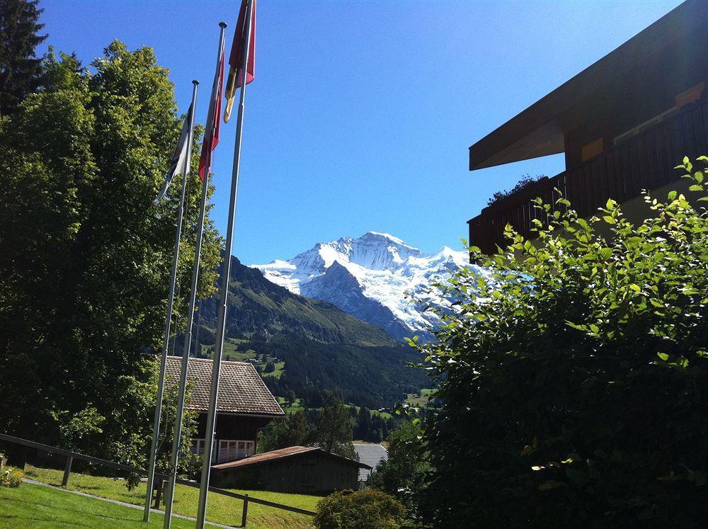 Minotel Bellevue Wengen Zewnętrze zdjęcie