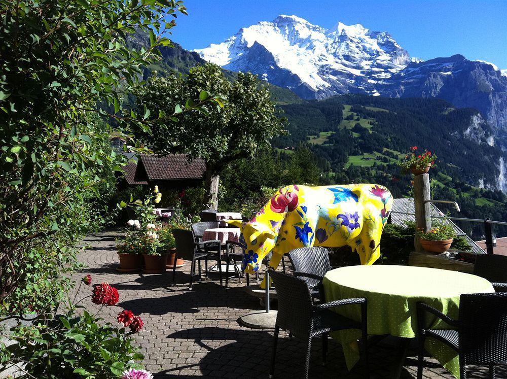 Minotel Bellevue Wengen Zewnętrze zdjęcie
