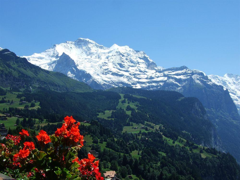 Minotel Bellevue Wengen Zewnętrze zdjęcie