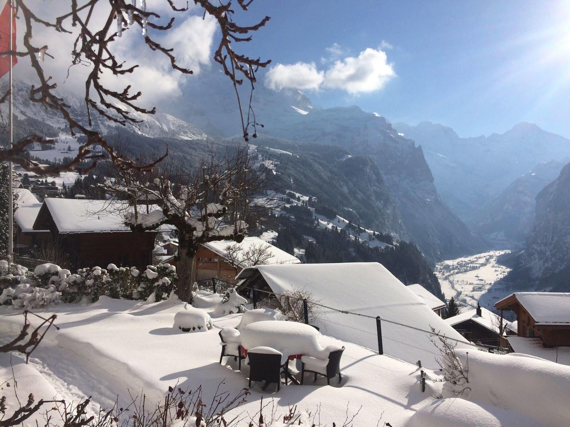 Minotel Bellevue Wengen Zewnętrze zdjęcie