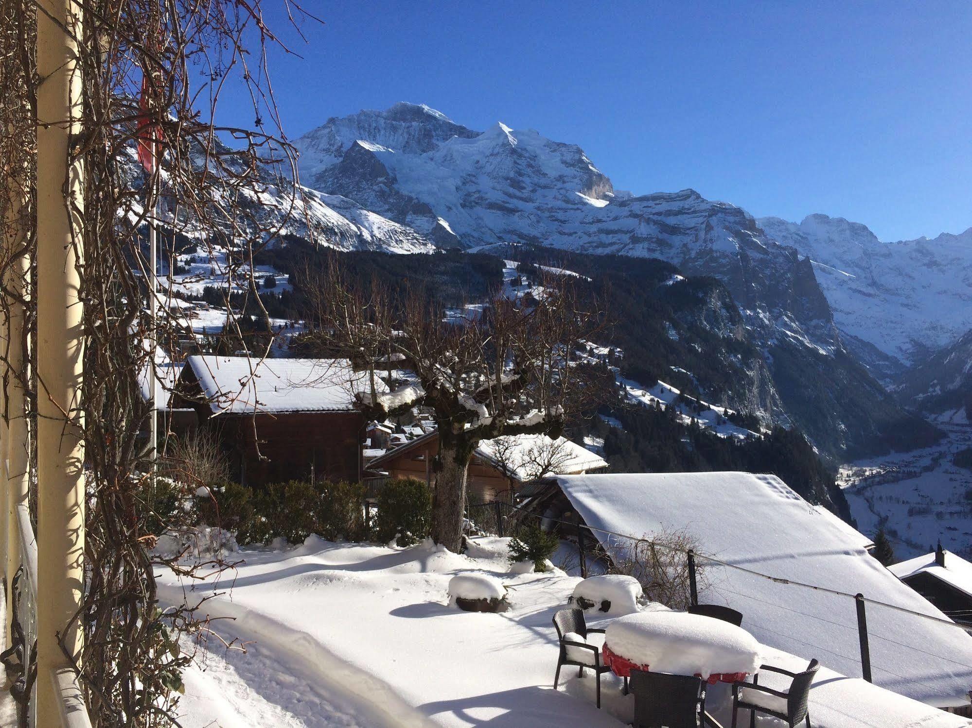 Minotel Bellevue Wengen Zewnętrze zdjęcie