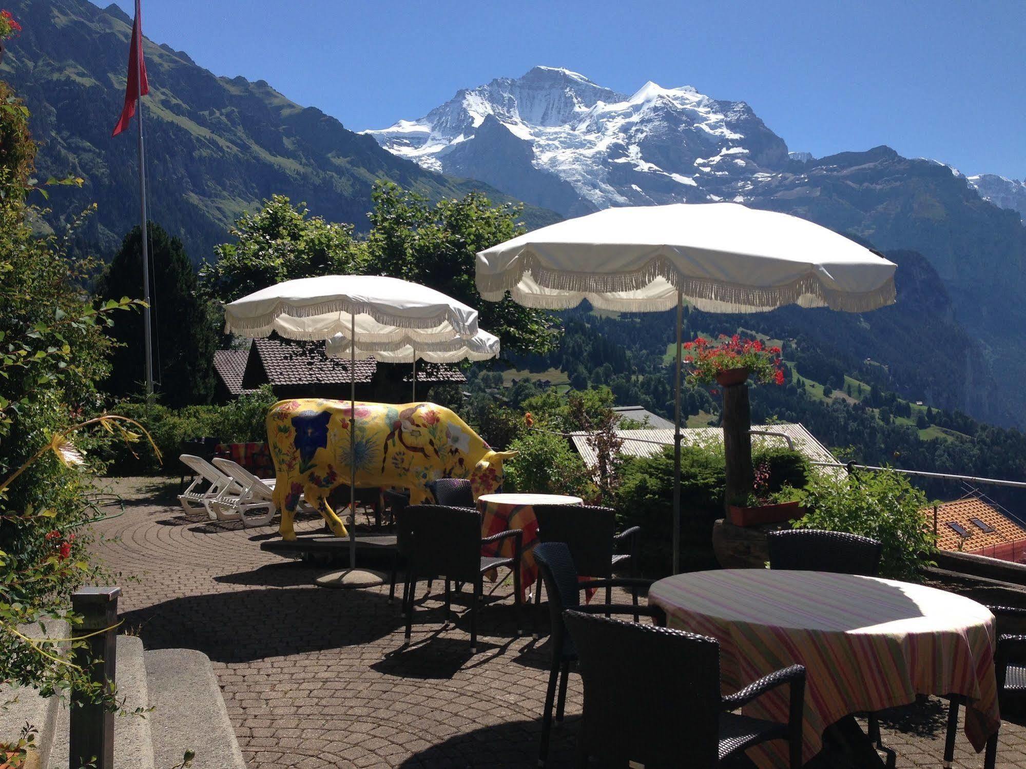Minotel Bellevue Wengen Zewnętrze zdjęcie