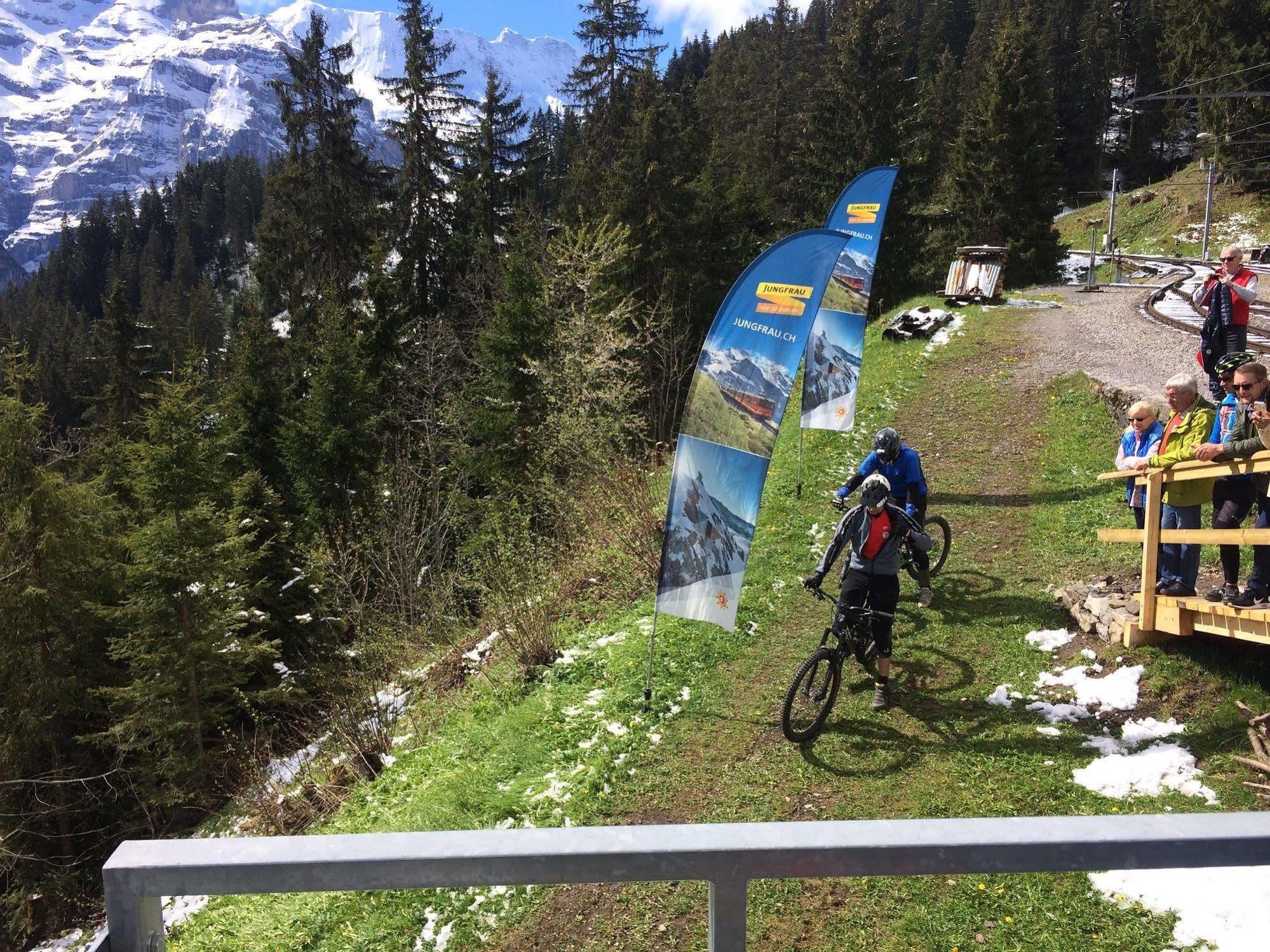 Minotel Bellevue Wengen Zewnętrze zdjęcie